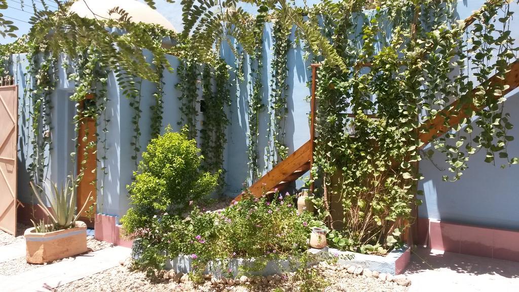 Villa Diletta Luxor Exteriör bild
