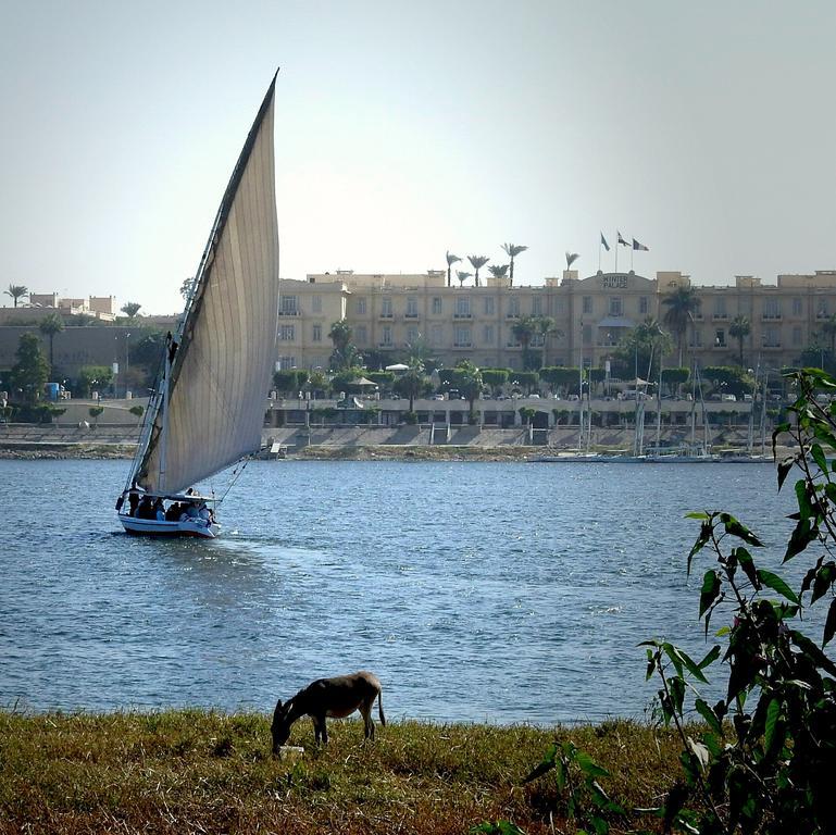 Villa Diletta Luxor Exteriör bild