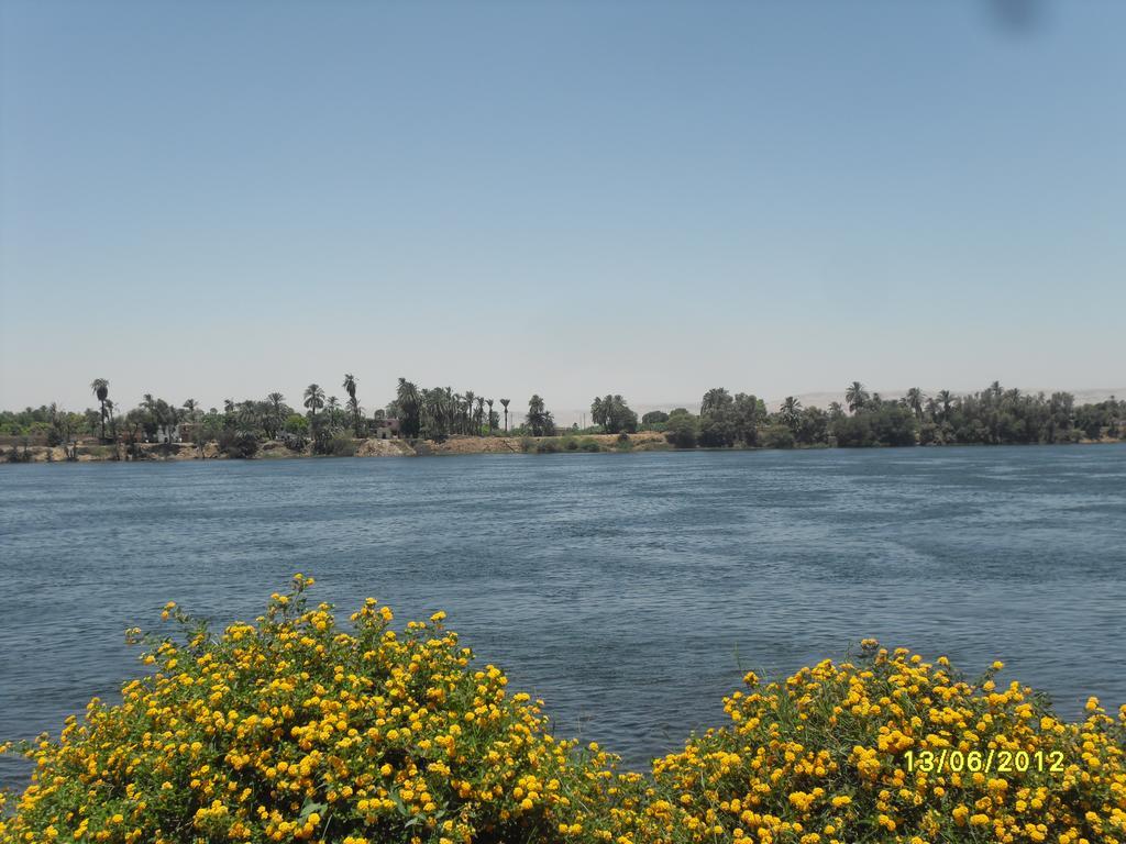 Villa Diletta Luxor Exteriör bild